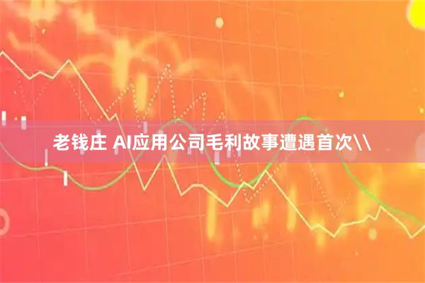 老钱庄 AI应用公司毛利故事遭遇首次\