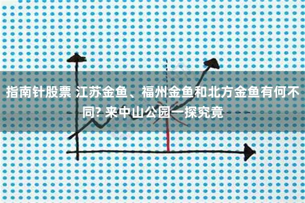 指南针股票 江苏金鱼、福州金鱼和北方金鱼有何不同? 来中山公园一探究竟